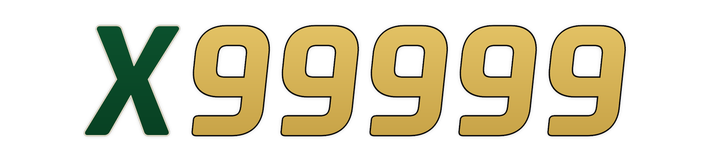 x99999 লোগো